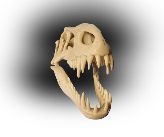 3D Printed T-Rex Style Dinosaur Skull – Realistic Fossil Replica Model