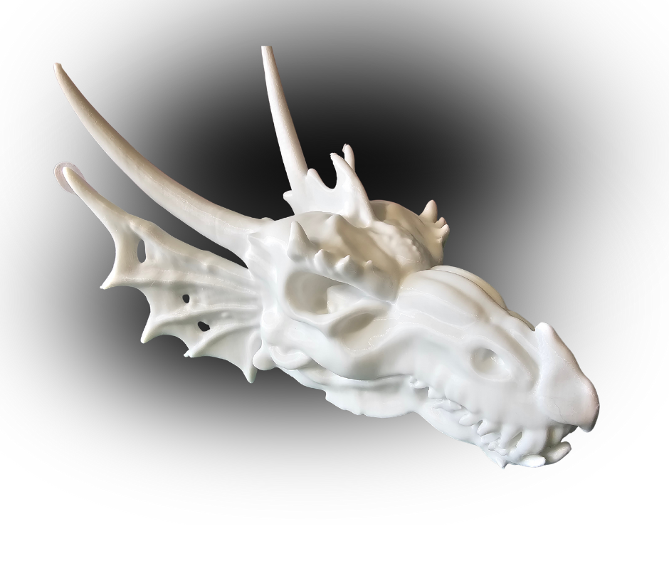 3D Printed Dragon Skull – Mythical Fantasy Display Model